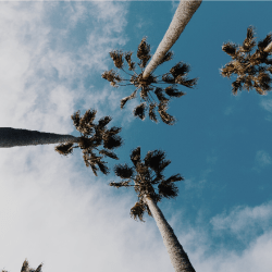 San Diego City - San Diego